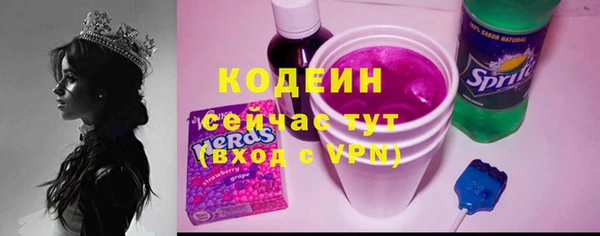 спиды Няндома