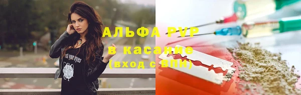 индика Осинники
