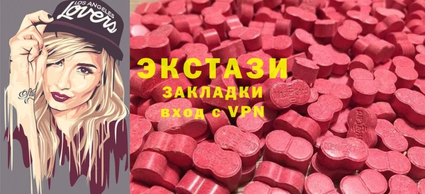 индика Осинники