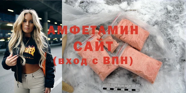 индика Осинники