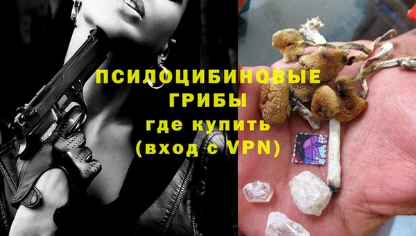 прущие грибы Нея