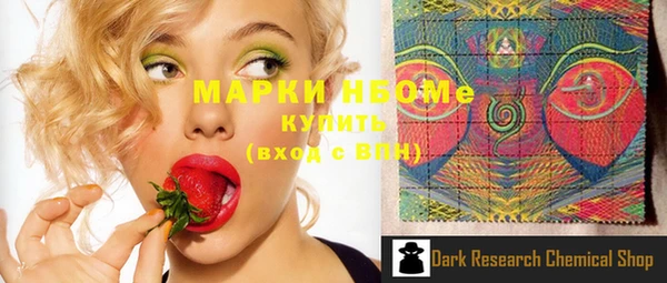 индика Осинники