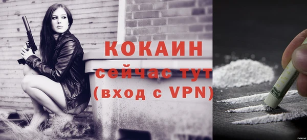 спиды Няндома